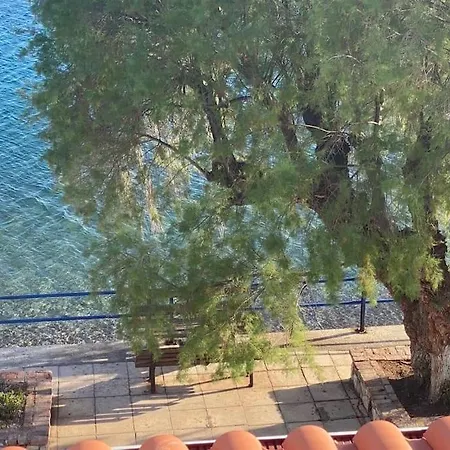 κοράλι, μεζονέτα στην παραλία λίμνης * Límni