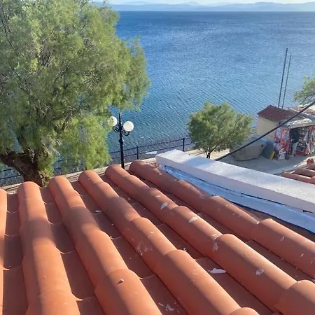 κοράλι, μεζονέτα στην παραλία λίμνης