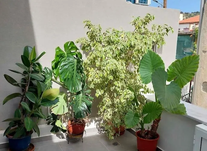 κοράλι, μεζονέτα στην παραλία λίμνης Holiday home *